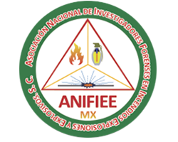 Anifiee Logo